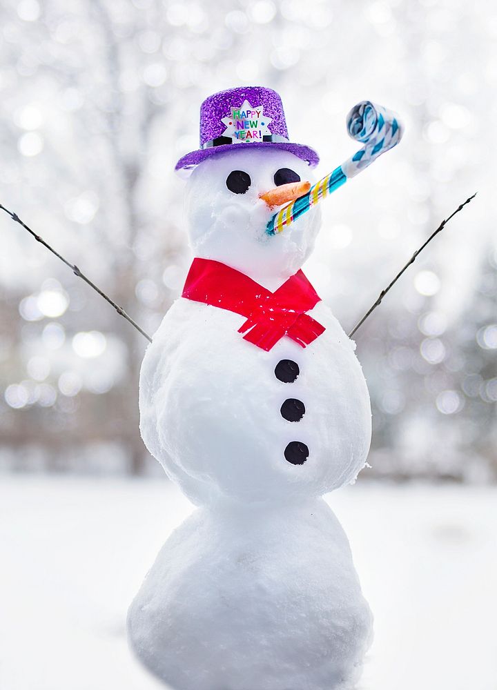 Free snowman image, public domain winter CC0 photo.