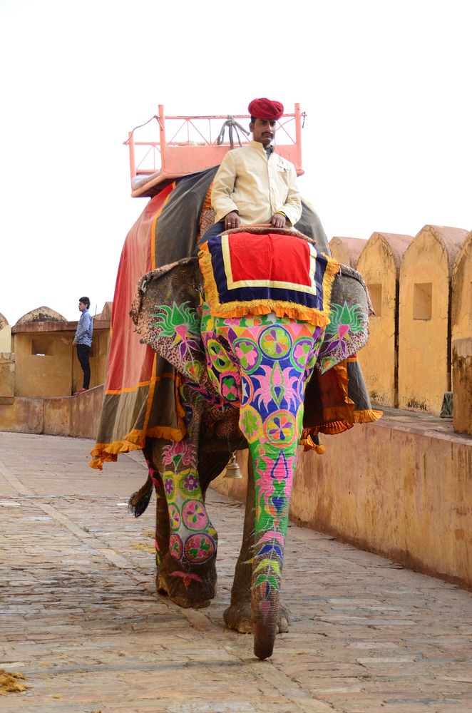 Amber Palace elephant ride, Jaipur, Rajasthan, India, 02/27/2017