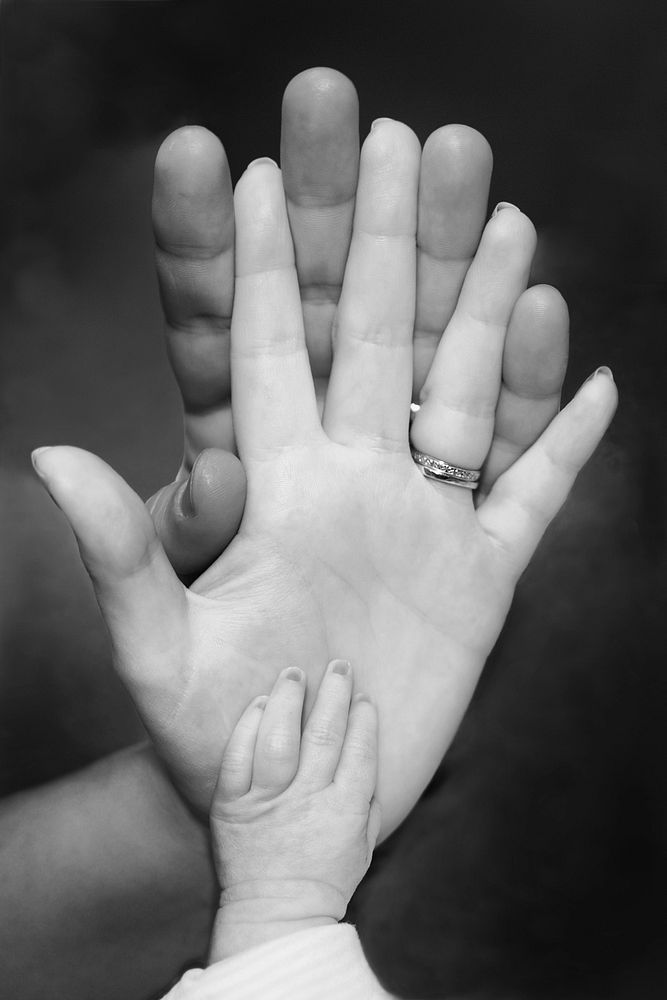 Free family's hand image, public domain CC0 photo.
