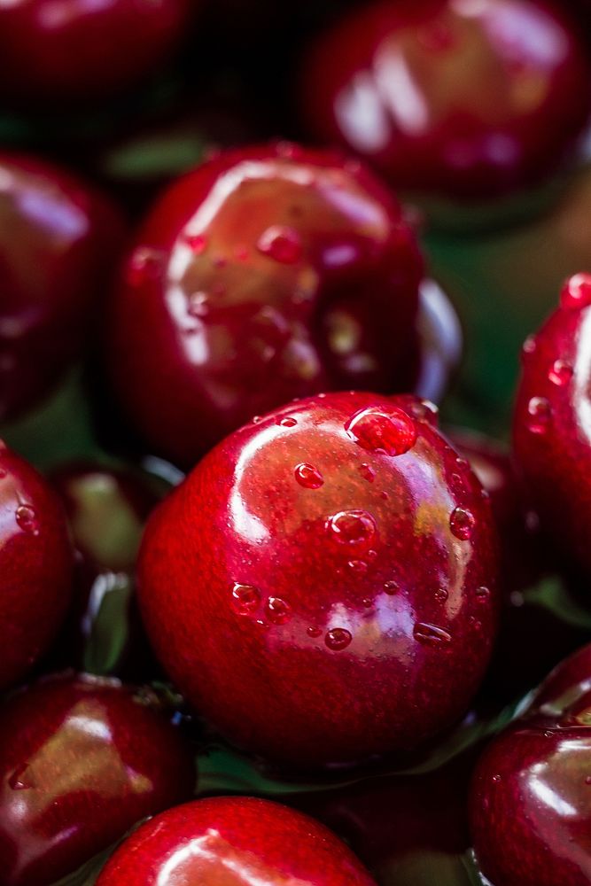 Free cherry image, public domain fruit CC0 photo.