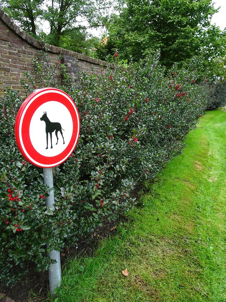 Free beware of dog sign image, public domain CC0 photo.