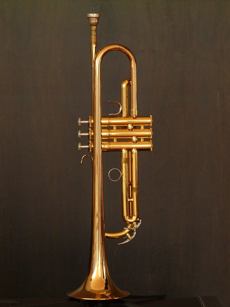 Free brass instrument image, public domain musical instrument CC0 photo.