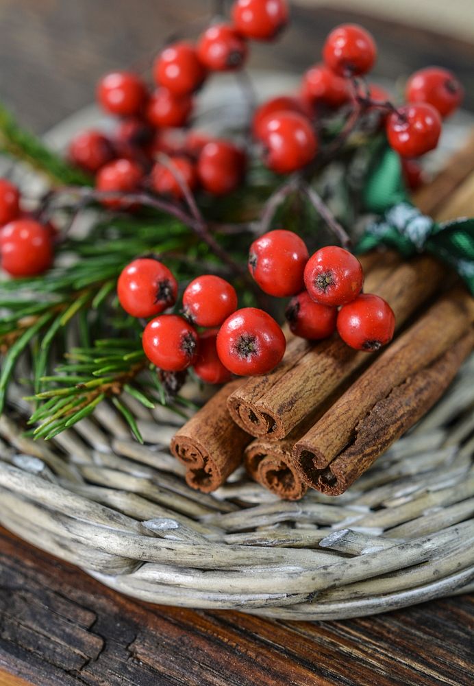 Free cinnamon and red berries decoration photo, public domain interior CC0 image.