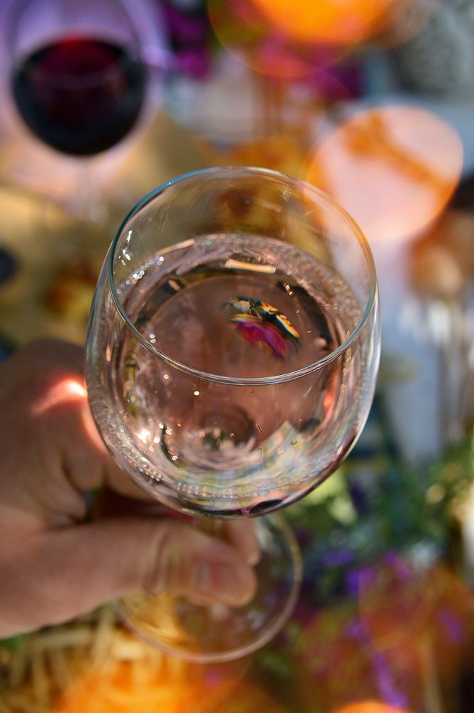 Person holding white wine image, public domain drink CC0 photo.