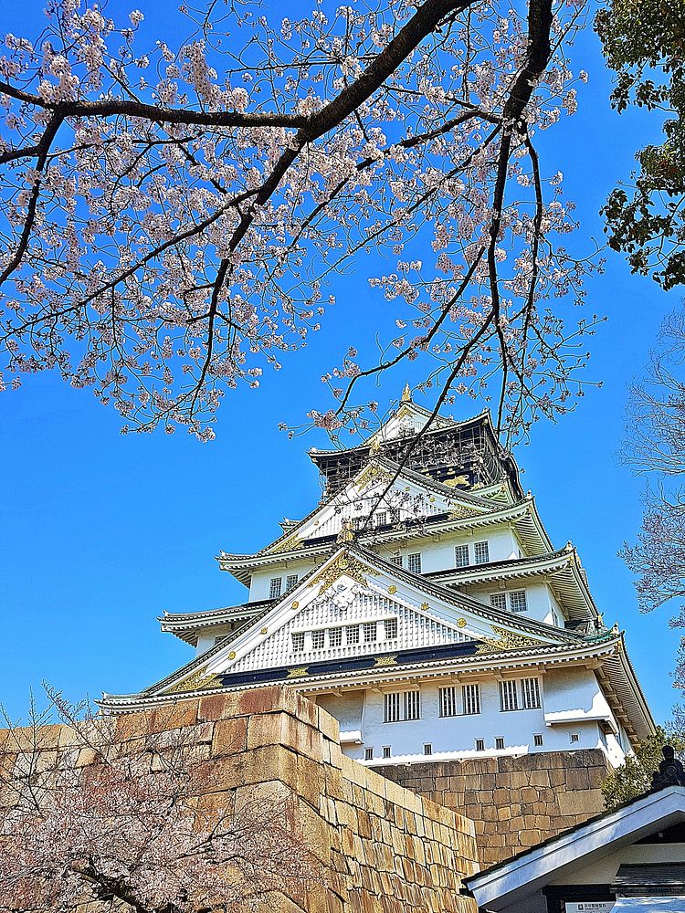 Free Osaka castle image, public domain travel CC0 photo.