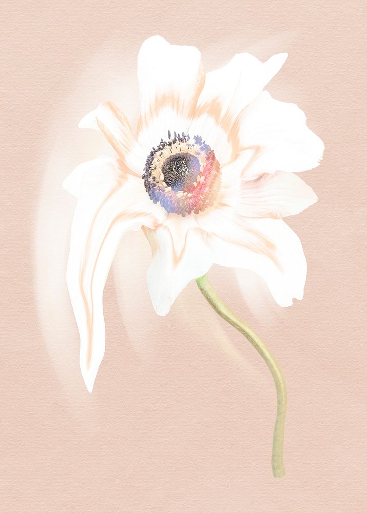 Flower sticker PSD, white anemone trippy psychedelic art