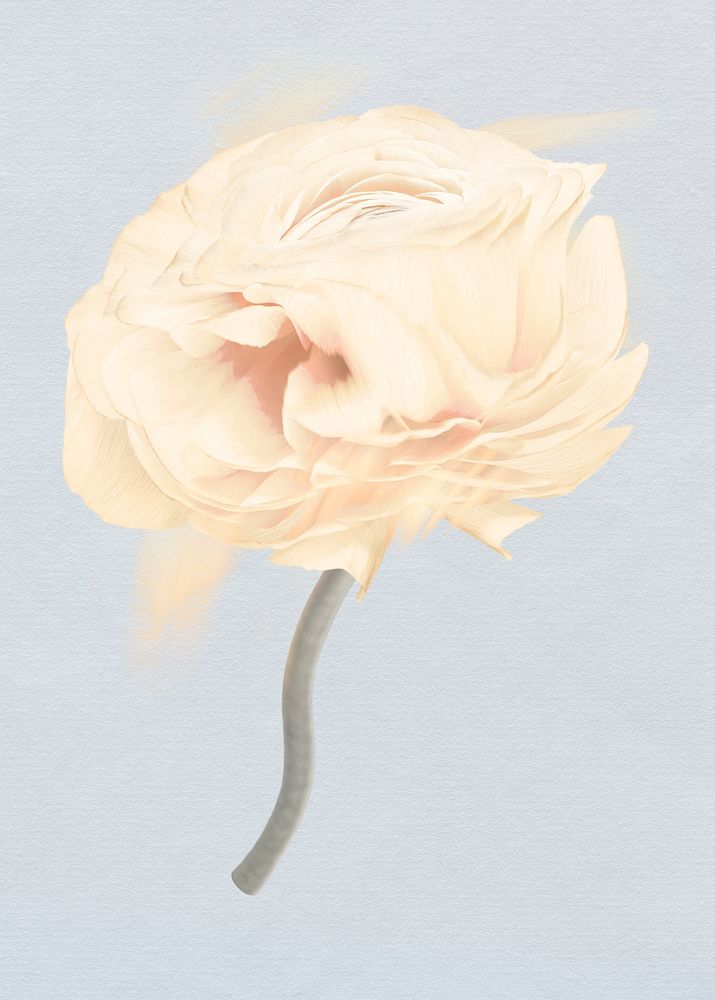 Buttercup flower PSD sticker, pastel beige trippy psychedelic art