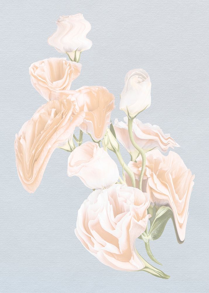 Rose PSD flower sticker, pastel white trippy psychedelic art