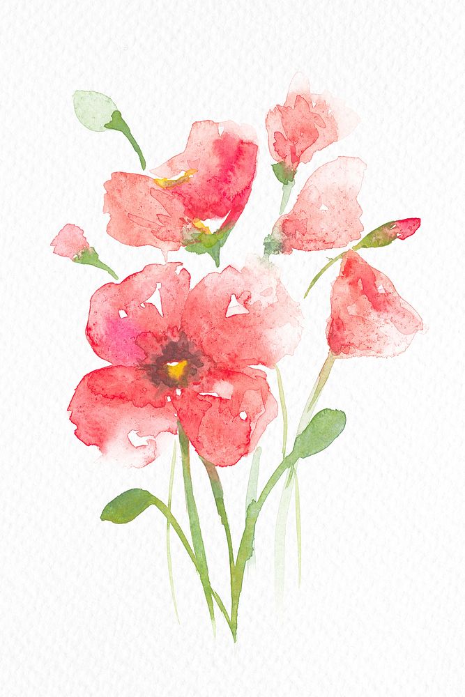 Pink poppy flower watercolor psd spring seasonal graphic