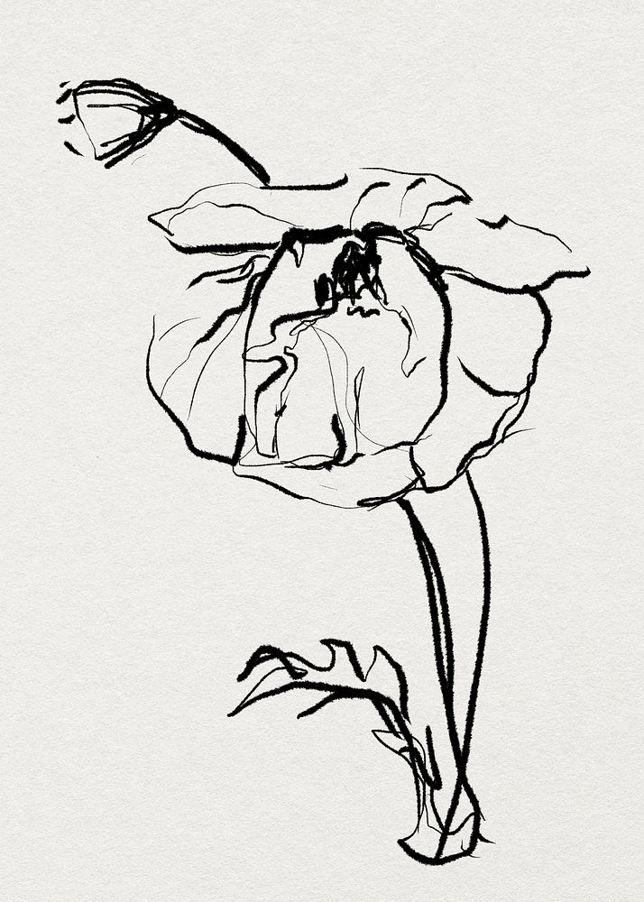 Flower hand drawn illustration psd, remixed from vintage public domain images