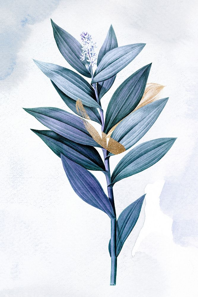 Leaf watercolor illustration psd, remixed from vintage public domain images