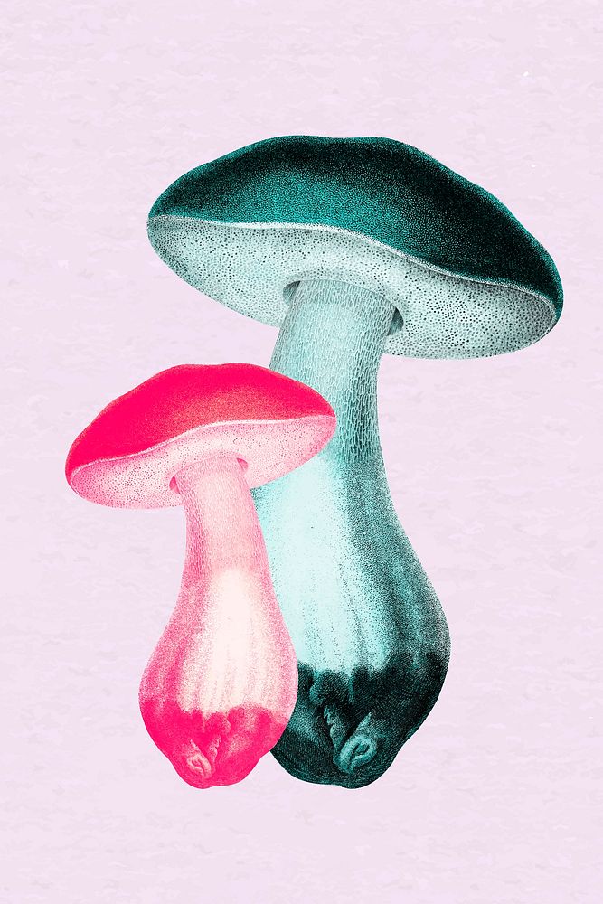 Collage retro aesthetic mushroom vector, negative effect neon mixed media art