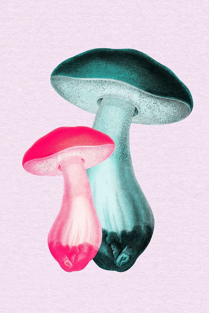 Collage mushroom green and pink, printable collage mixed media art