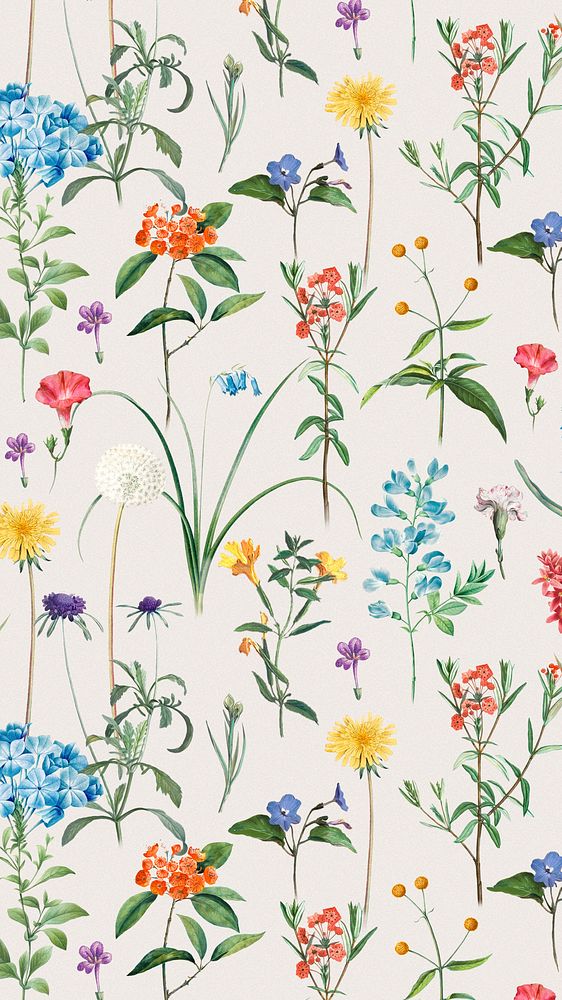Retro flower pattern mobile wallpaper, vintage botanical background, remix from the artworks of Pierre Joseph Redout&eacute;