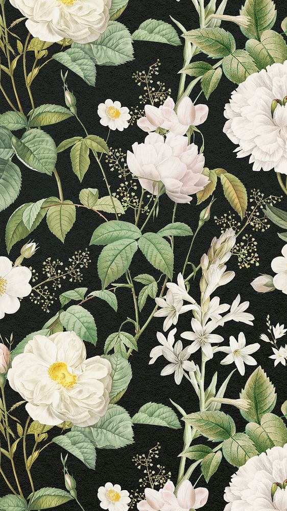 White floral pattern phone wallpaper, vintage botanical background, remix from the artworks of Pierre Joseph Redout&eacute;