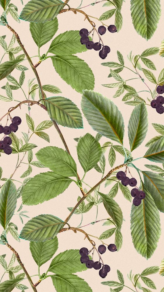 Leaf pattern mobile wallpaper, vintage botanical background, remix from the artworks of Pierre Joseph Redout&eacute;