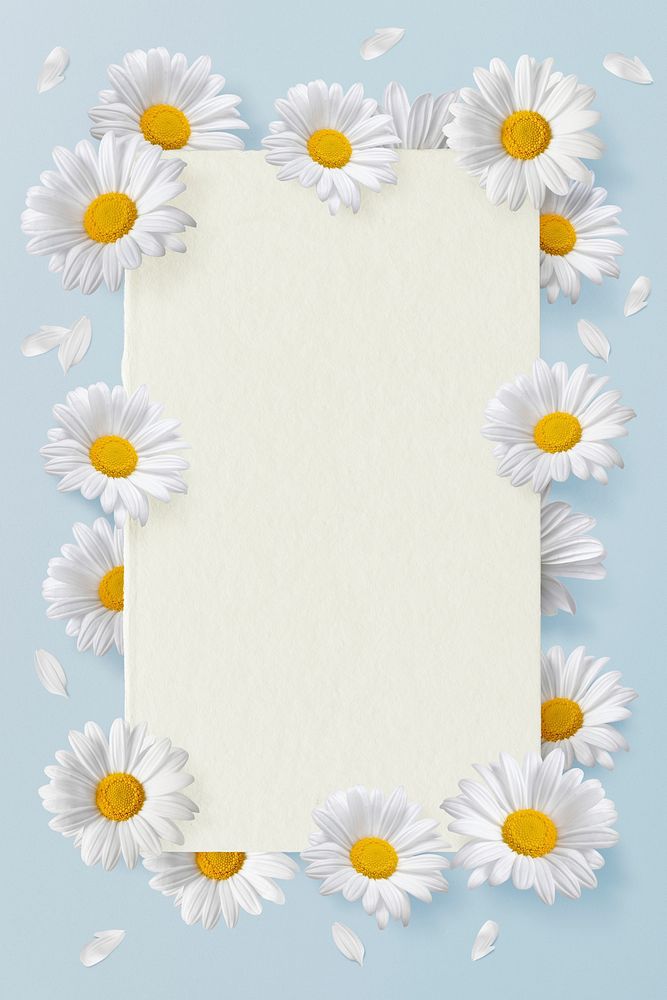 Daises flowers frame background, floral design