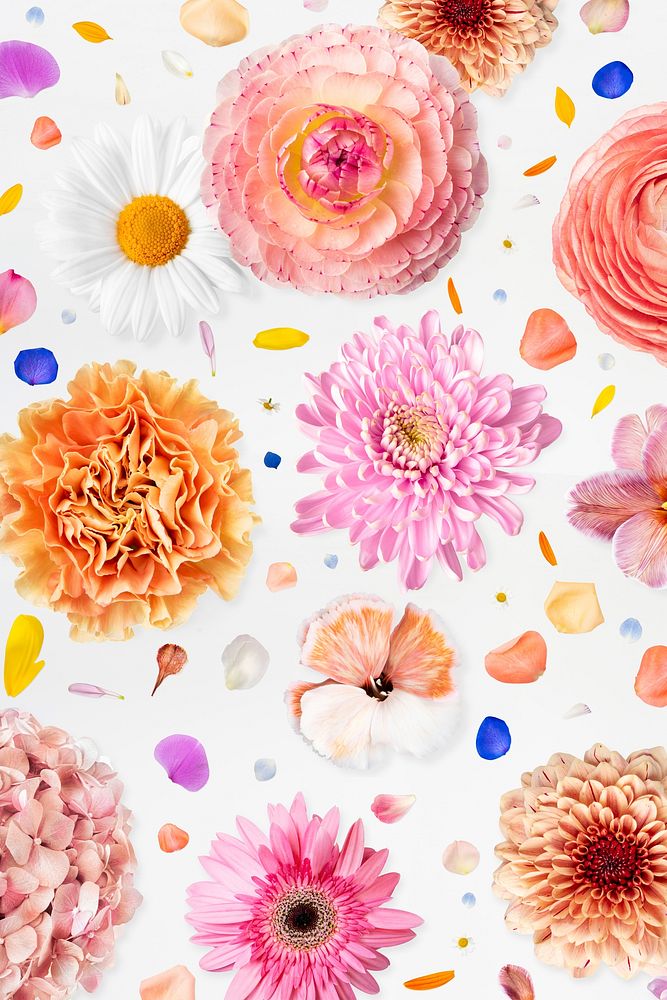 Colorful floral pattern background, flower, botanical