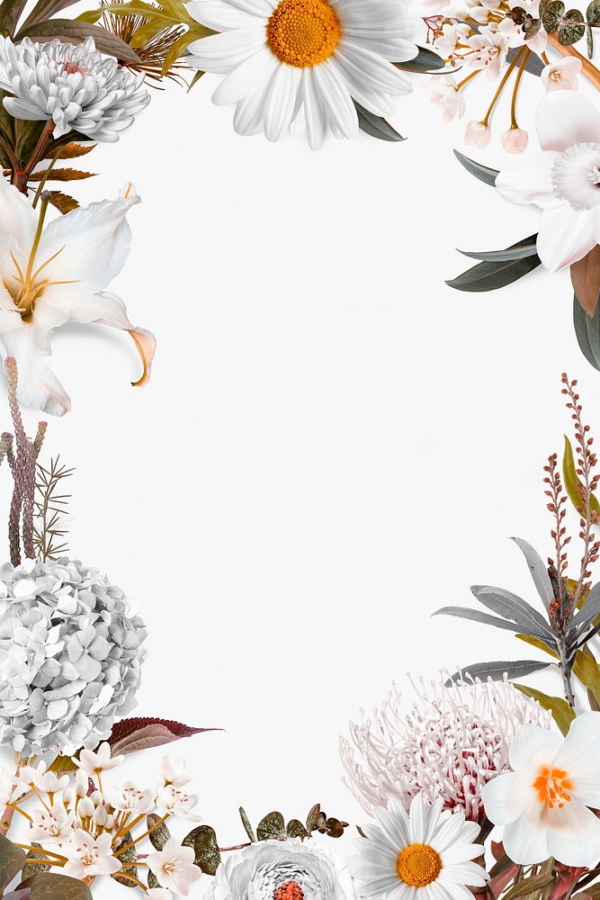 Aesthetic floral frame, botanical psd design
