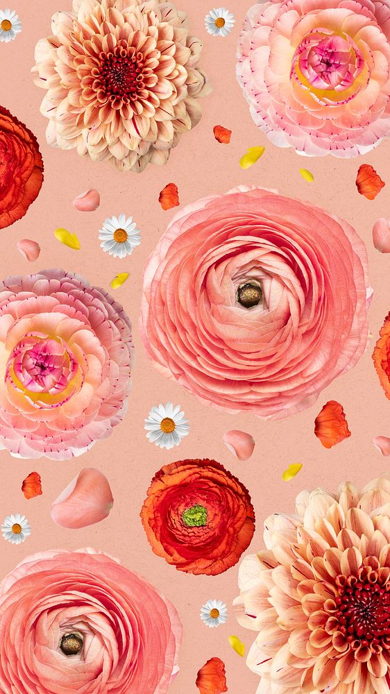 Aesthetic Persian buttercups iPhone wallpaper, floral design