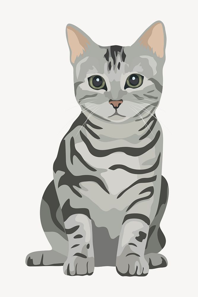 Cute kitten, American shorthair cat illustration clipart