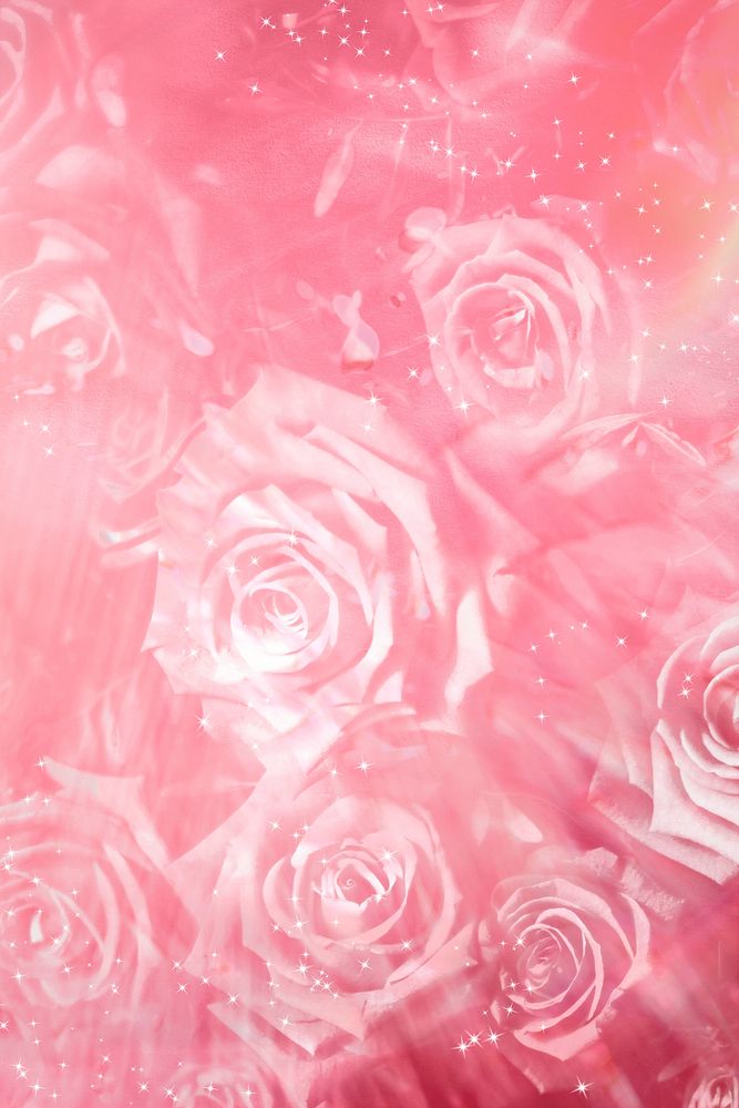 Pink roses background, floral design 