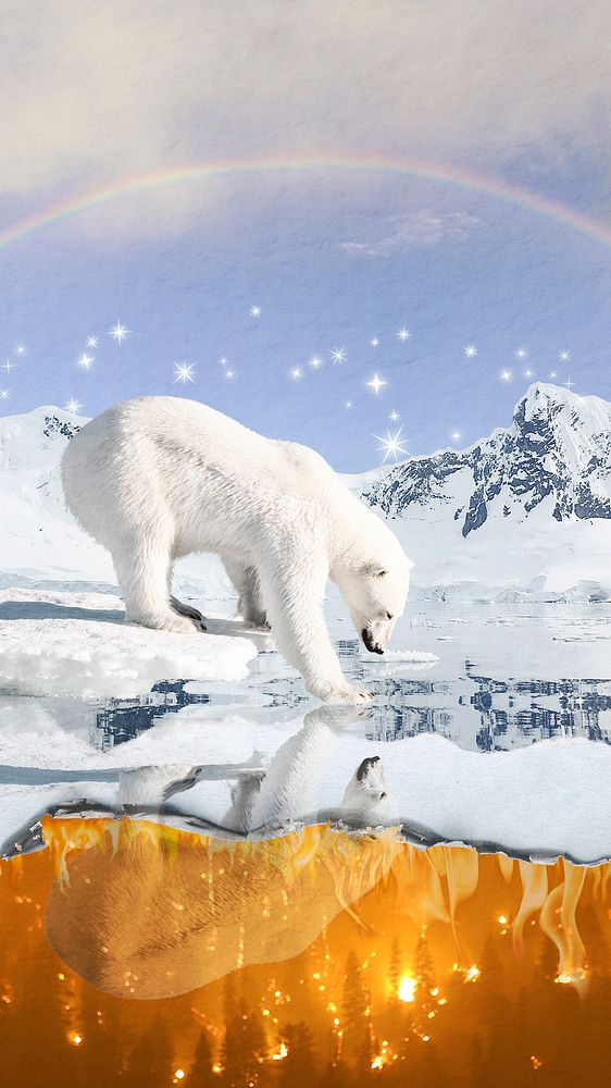 Polar bear iPhone wallpaper, melting glacier background