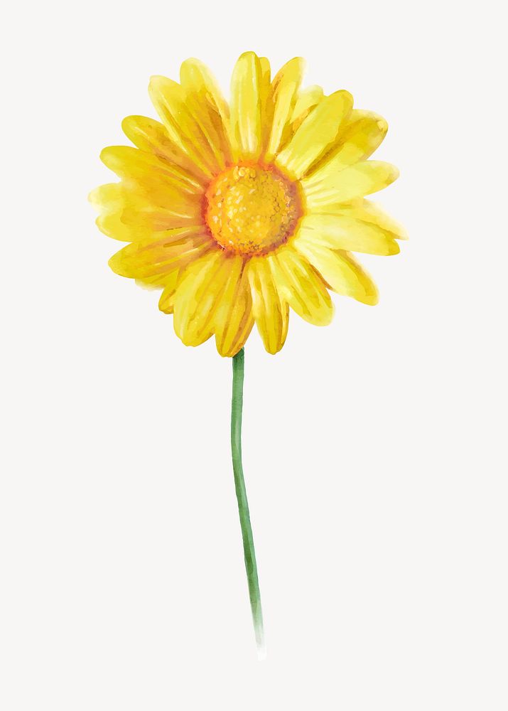 Yellow watercolor daisy, flower collage element vector