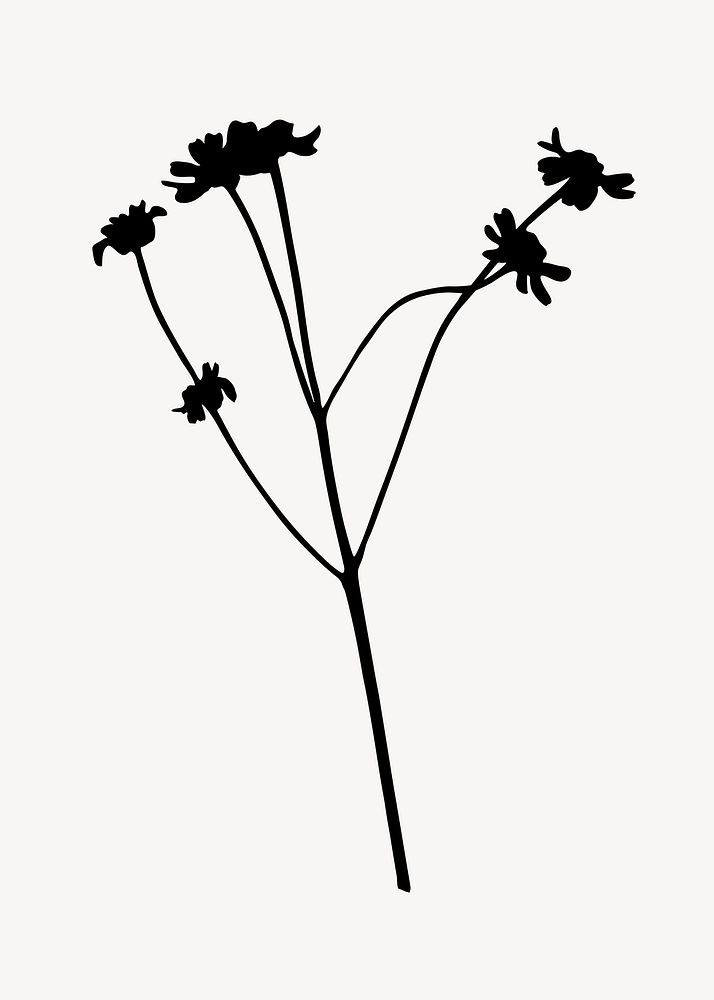 Flower silhouette, daisy branch clipart psd
