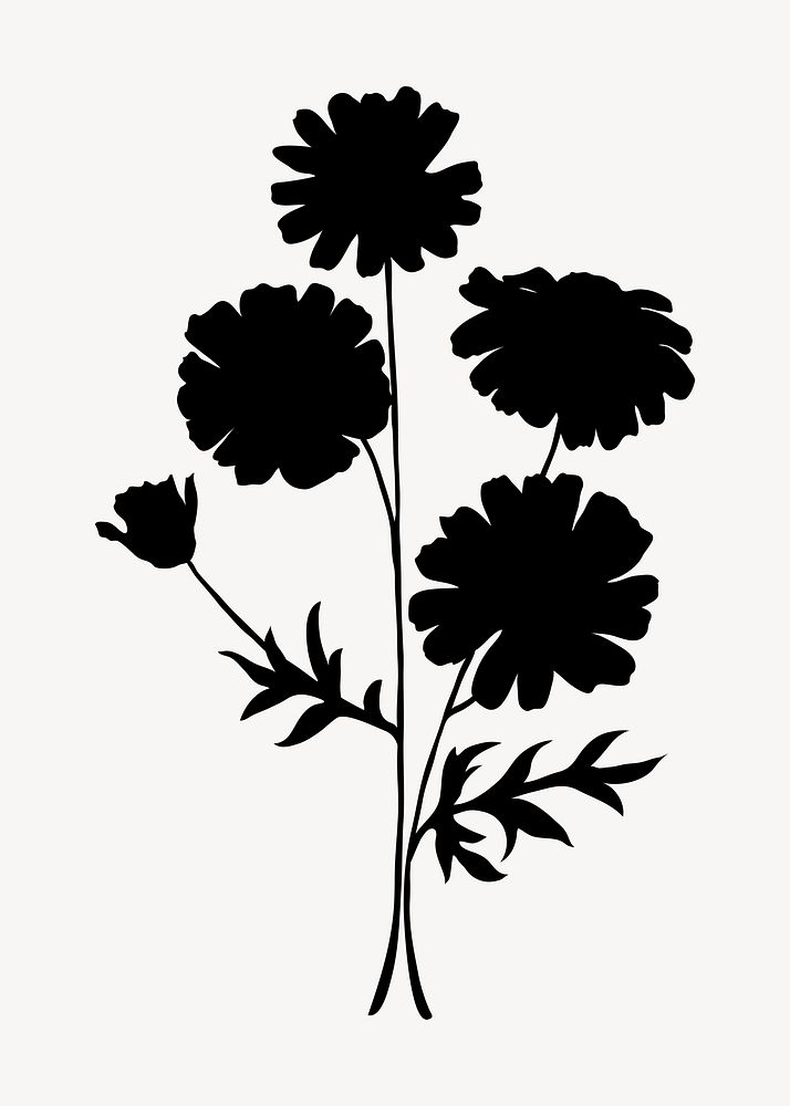 Silhouette daisy flower, spring illustration
