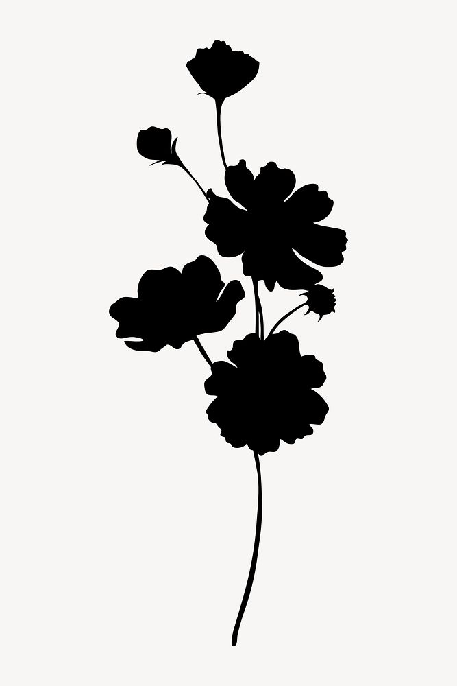 Flower silhouette, daisies branch illustration