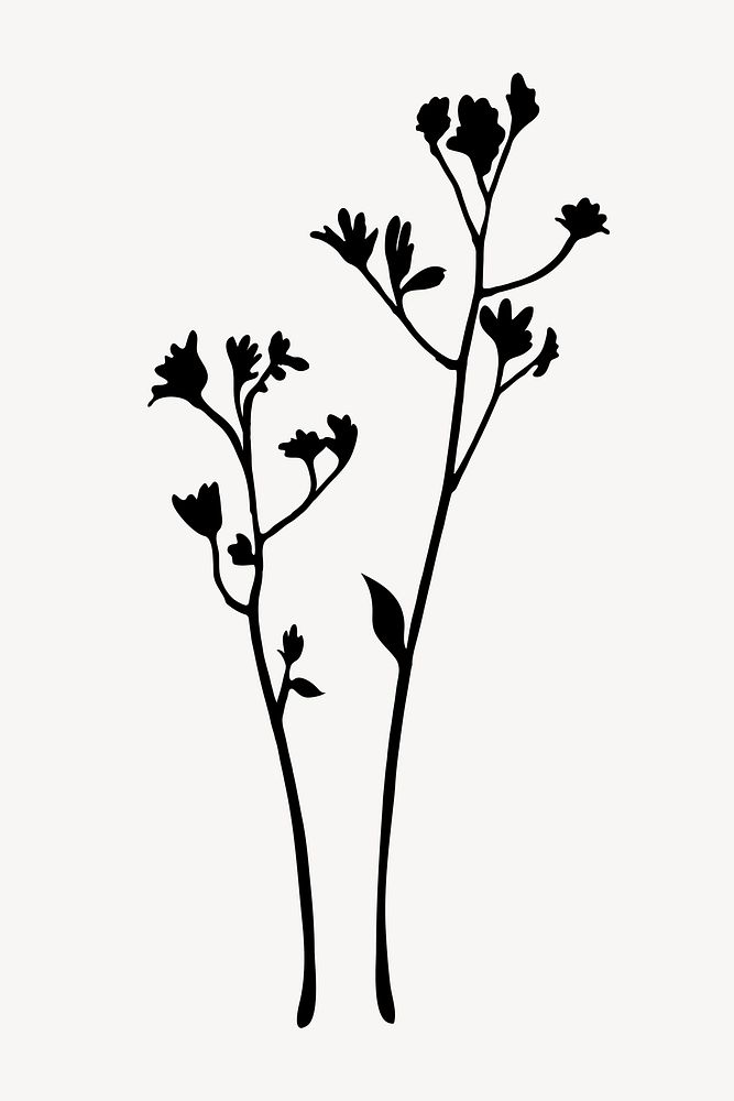 Flower silhouette, anigozanthos plant collage element psd
