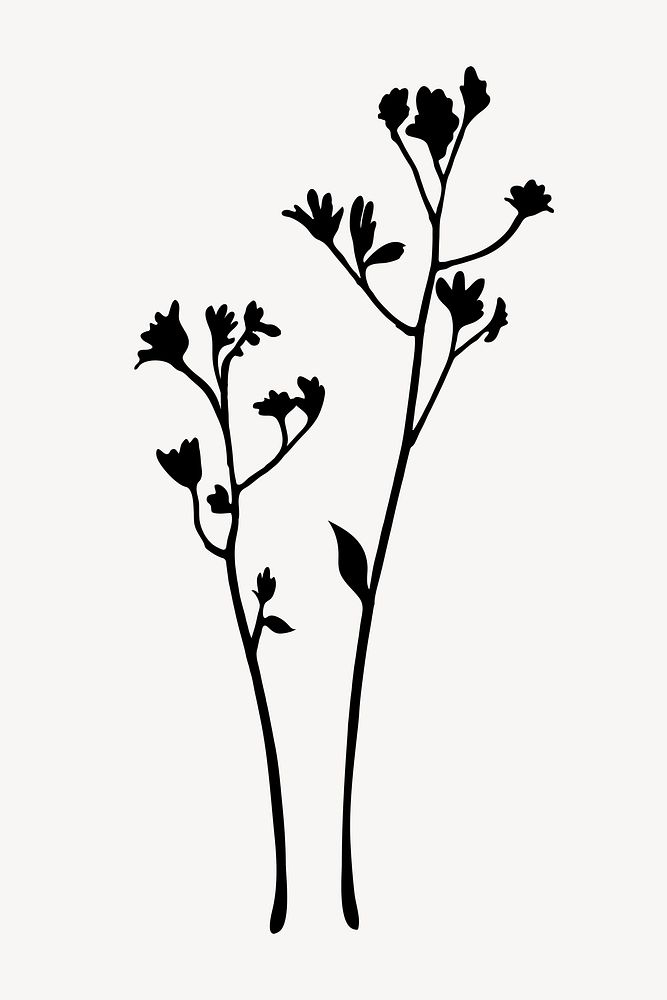 Silhouette flower, kangaroo paw plant clipart vector