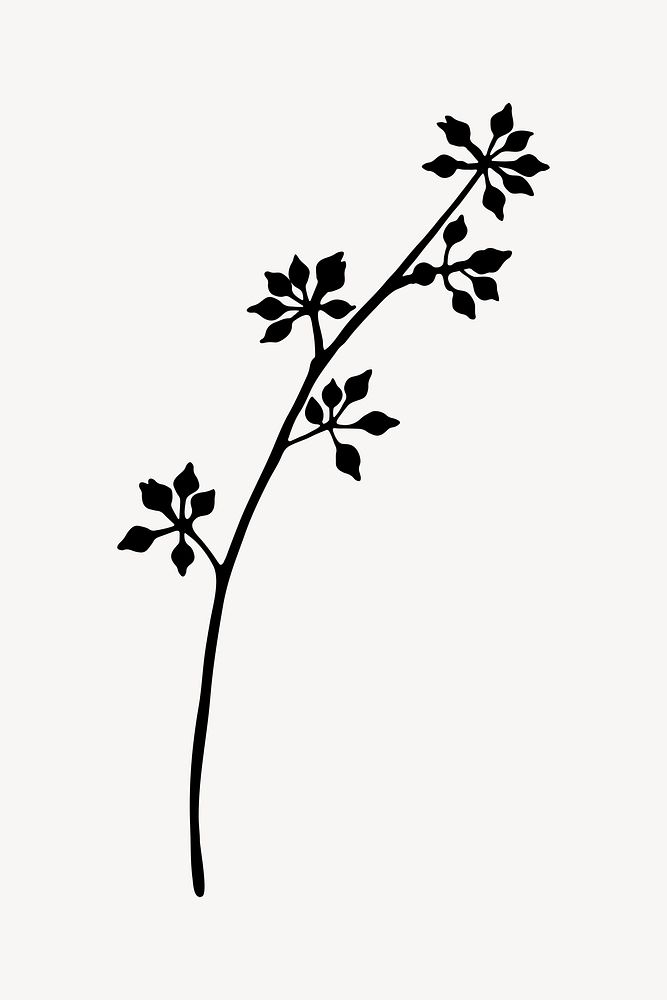 Flower silhouette, eucalyptus buds collage element vector