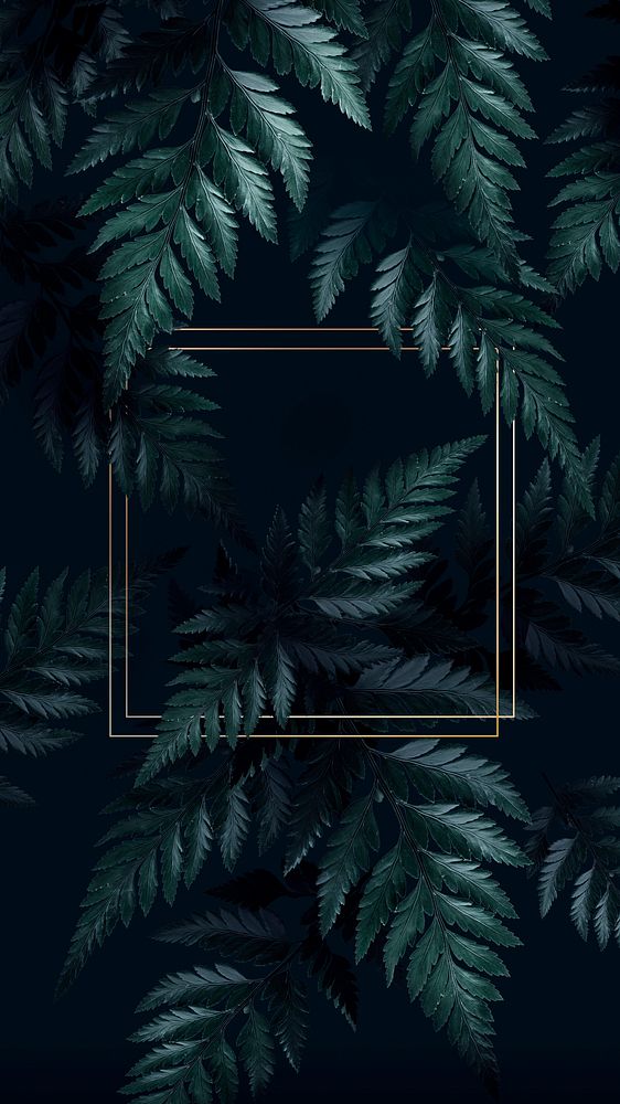 Square golden frame on a tropical | Free Photo - rawpixel