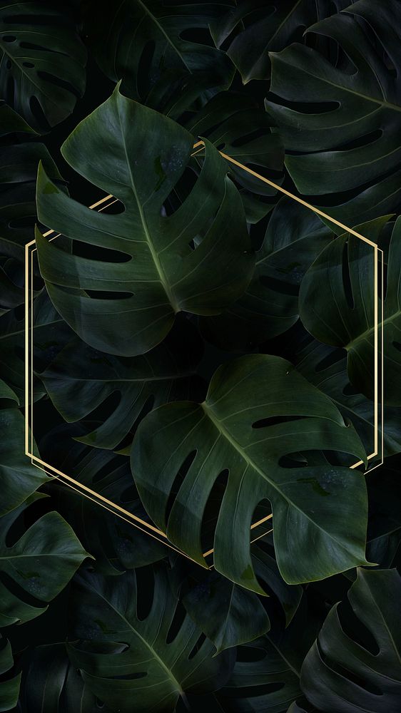 Hexagon golden frame on a tropical background