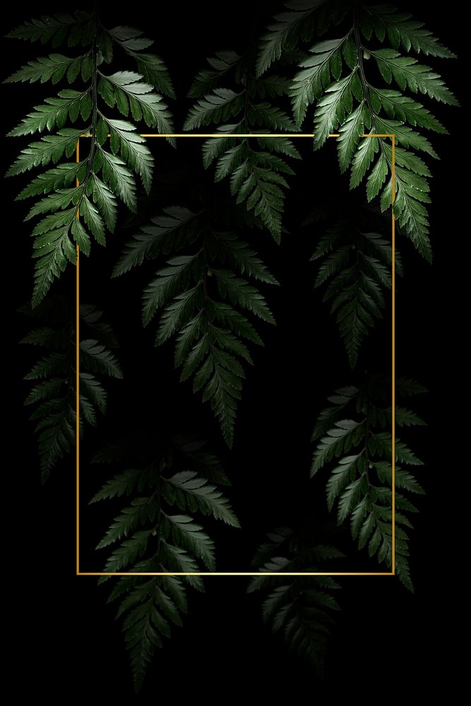 Rectangle golden frame on a tropical background
