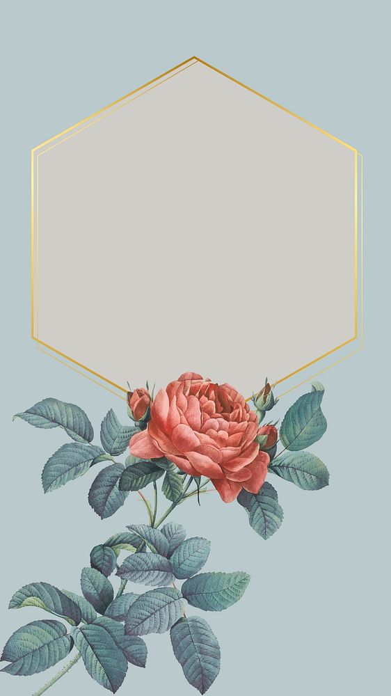 Hexagon frame with a rose element vector