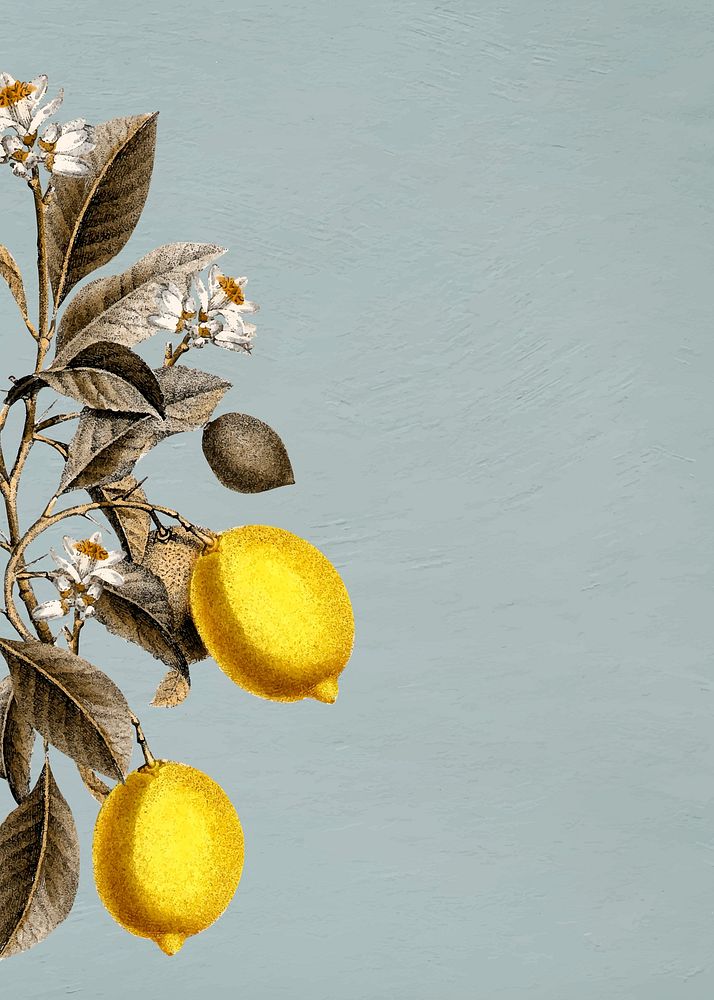Tropical lemon on a blue background vector