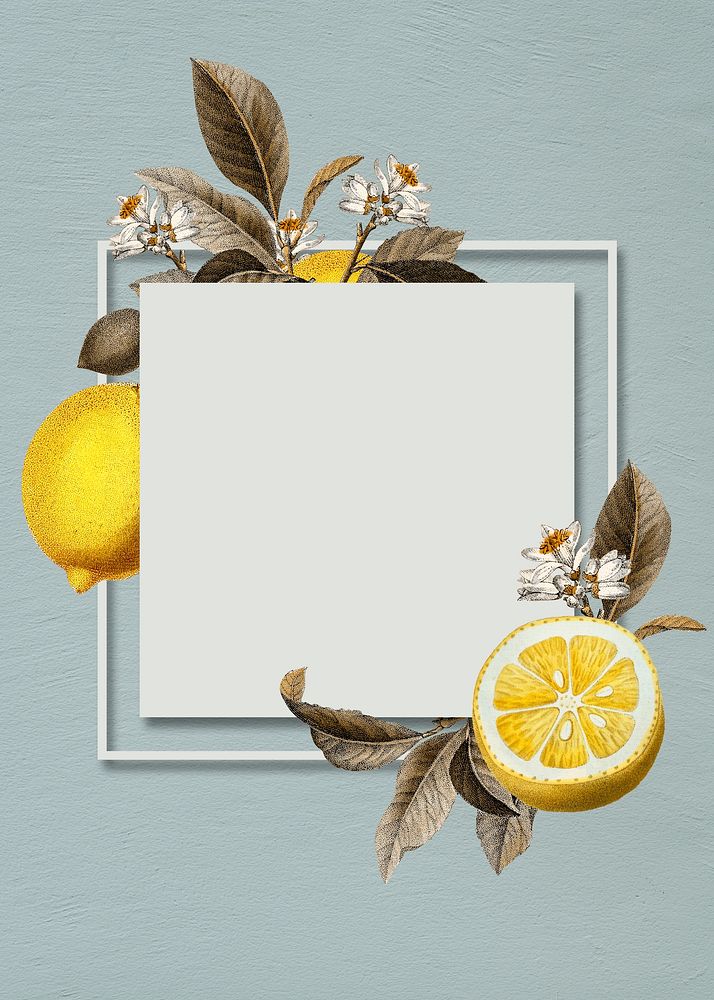 Blank tropical lemon card vector