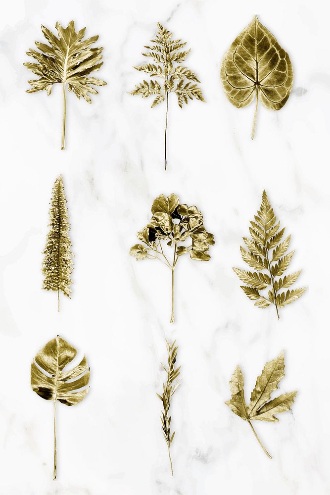 Gold colored leaves on white marble background collection vector