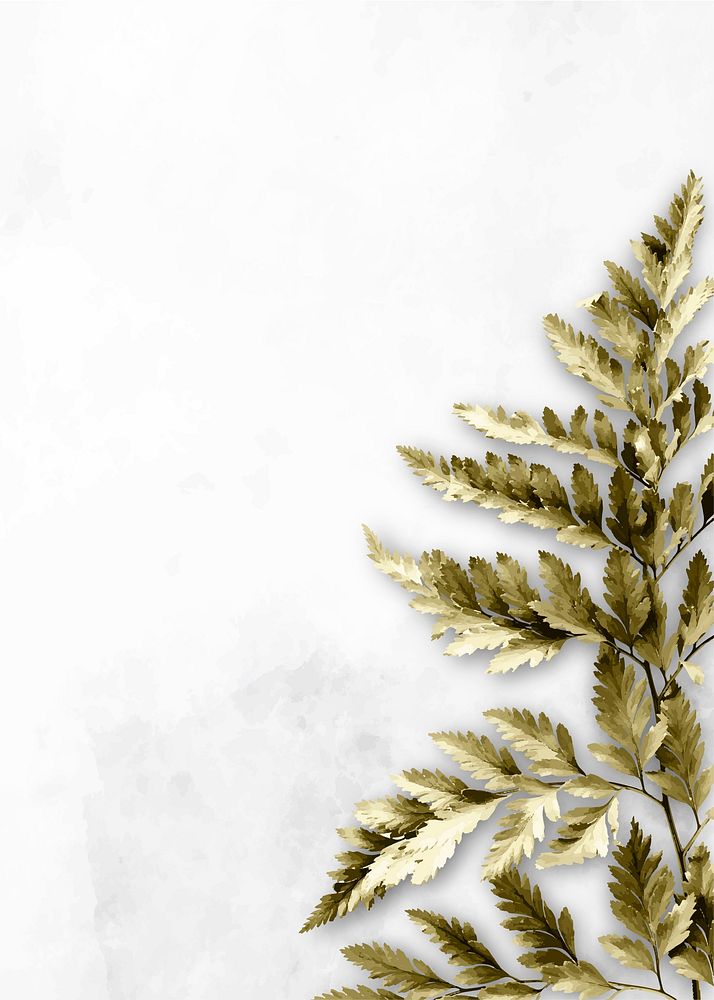 Gold leatherleaf fern frame on white background vector