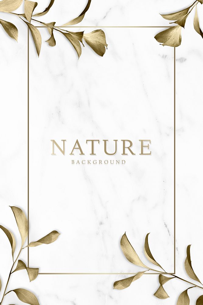 Gold eucalyptus leaves on white marble background