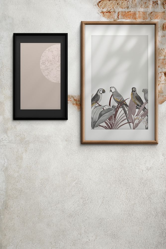 Picture frames hanging on a wall illustration