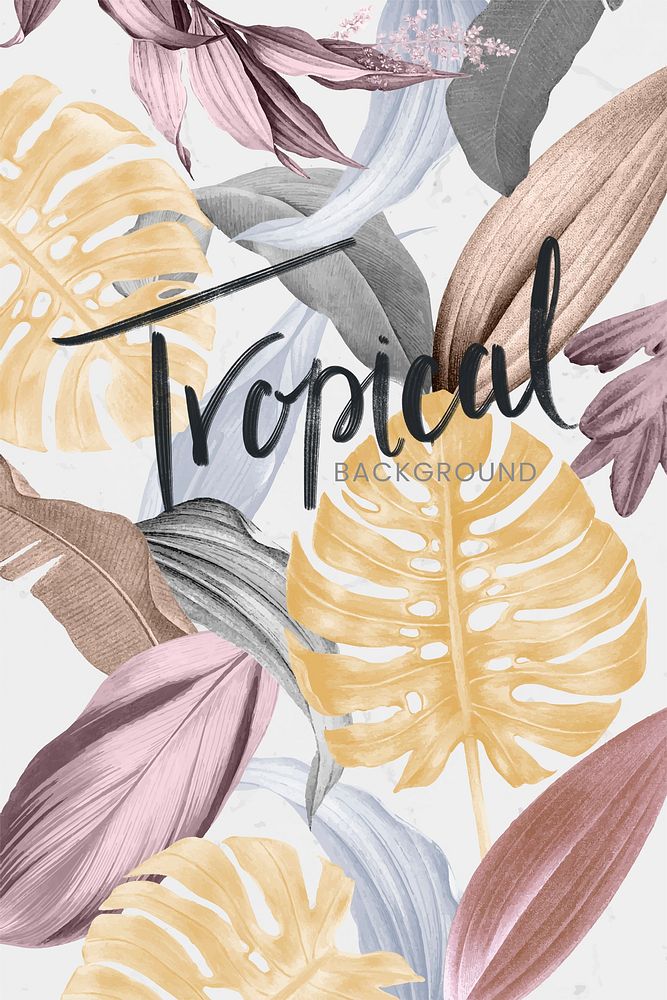 Colorful tropical frame design vector