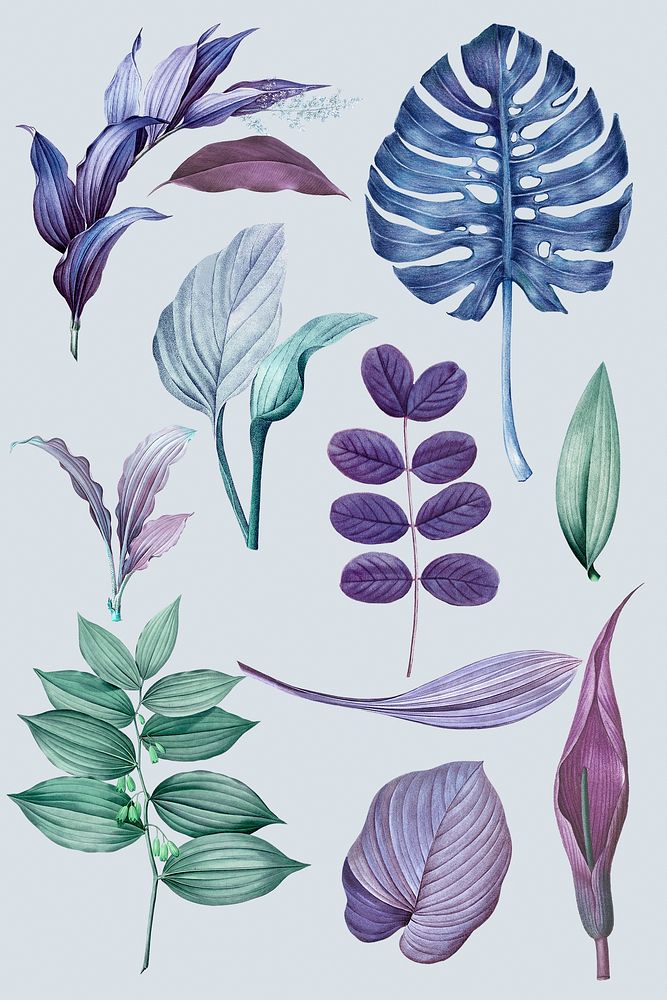 Vintage purple leaves collection design