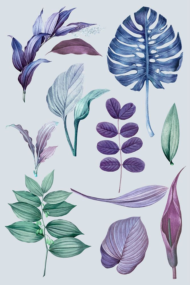 Purple leaves collection design vector