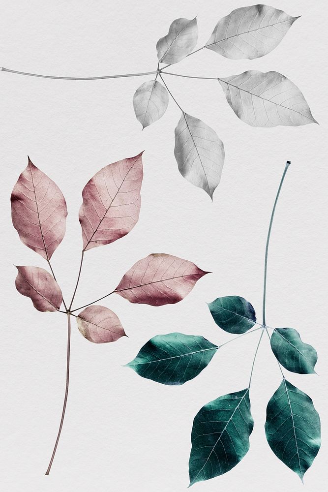 Branches of rose pink leaves with green and silver leaves pattern background illustration