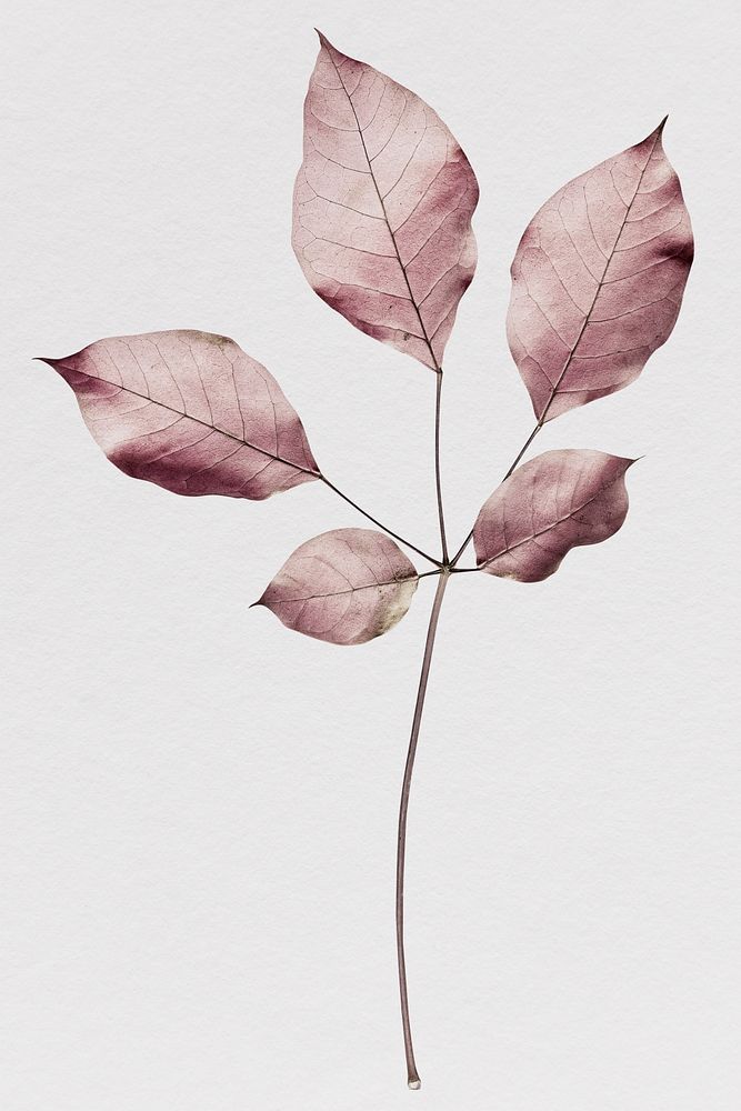 Branch of pink gold leaves pattern background illustration