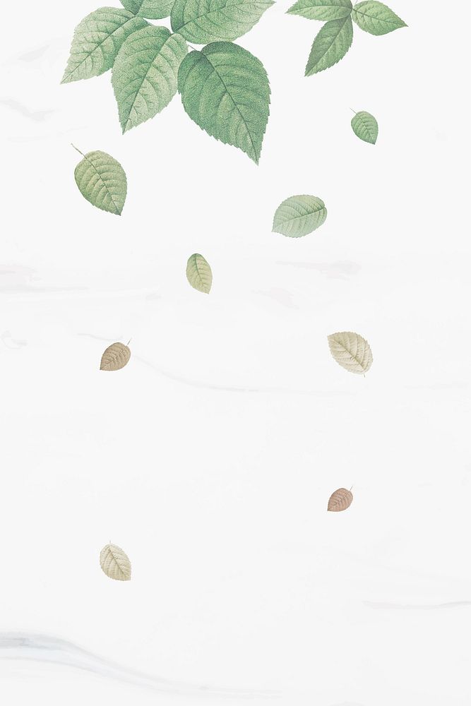 Green foliage pattern on white background vector